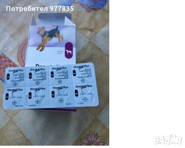 Bayer Drontal Plus Dog -ОБЕЗПАРАЗИТЯВАЩИ ТАБЛЕТКИ ЗА КУЧЕТА 1бр. , снимка 1