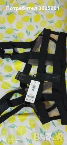 Лукс Дамско Боди Сутиен  С М, снимка 2 - Бельо - 47793310