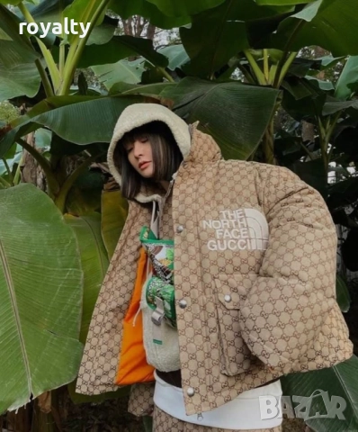 The North Face Дамско Яке , снимка 5 - Якета - 52411710