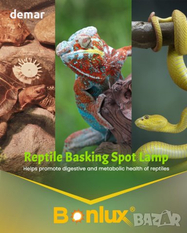 Bonlux Отоплителна лампа 100 W, димируема UVA крушка E27 за влечуги, 3 броя, снимка 5 - Терариуми и оборудване - 43734517