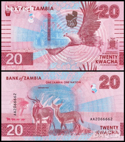 ❤️ ⭐ Замбия 2024 20 квача UNC нова ⭐ ❤️