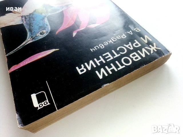 Животни и Растения - В.А.Радкевич - 1983г., снимка 7 - Енциклопедии, справочници - 53118789