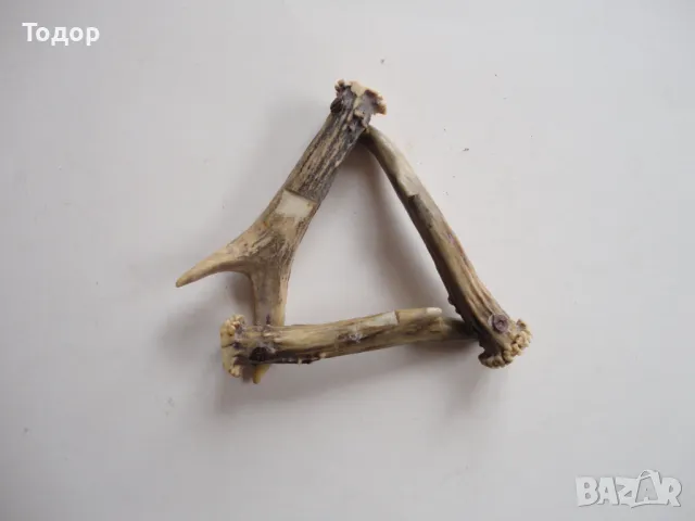 Рог рога 1, снимка 3 - Антикварни и старинни предмети - 50287849