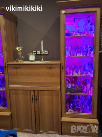 витрина за документи/ колекции със заключване., снимка 5 - Секции и витрини - 43812962