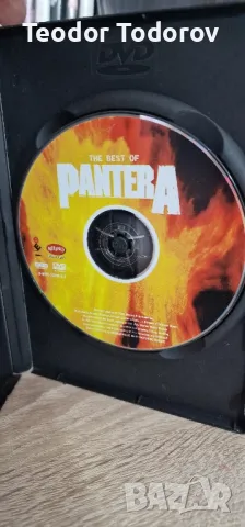 DVD музика PANTERA, снимка 3 - DVD дискове - 47281384