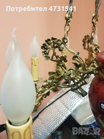 Полилей, снимка 14 - Полилеи - 53398820