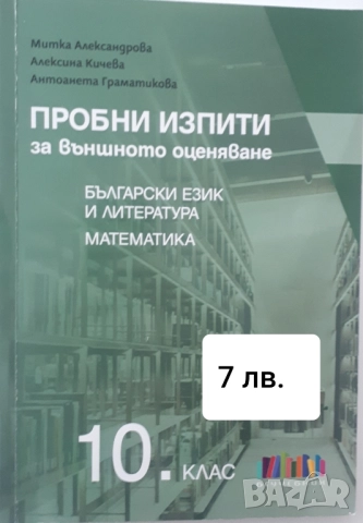 Помагала БЕЛ и Математика за 10 клас, снимка 3 - Учебници, учебни тетрадки - 52658190