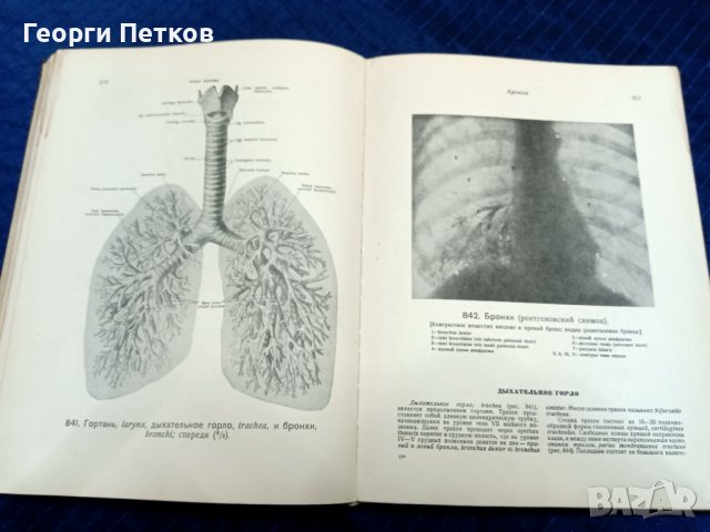 Атлас анатомии человека, снимка 7 - Антикварни и старинни предмети - 43818672