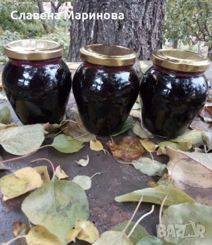 Сироп от бъз