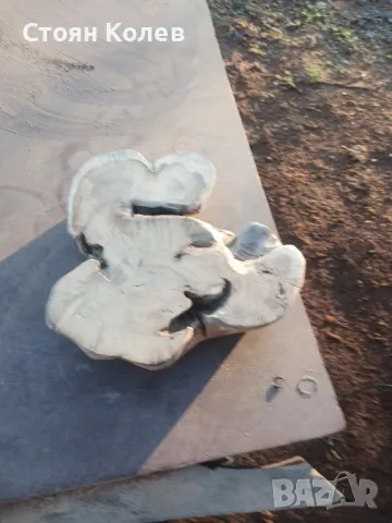 оливерник от акация , снимка 9 - Аксесоари за кухня - 48474226