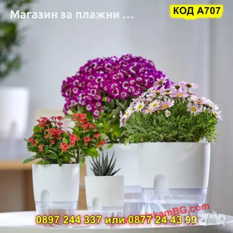 Саксия за цветя с резервоар за вода, снимка 6 - Саксии и кашпи - 49730312