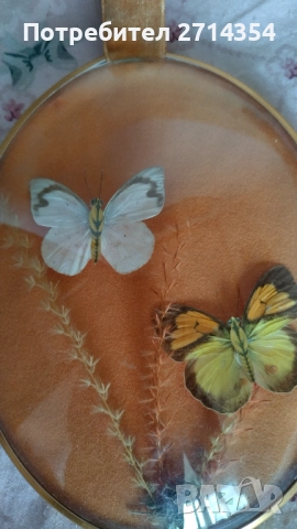 Декорация за стена пеперуди , снимка 2 - Антикварни и старинни предмети - 52129239