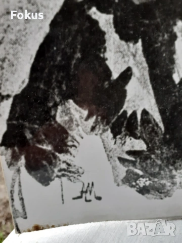 Снимка дебел картон Иван Кралича - Бойчо Огнянов, снимка 2 - Антикварни и старинни предмети - 53479079