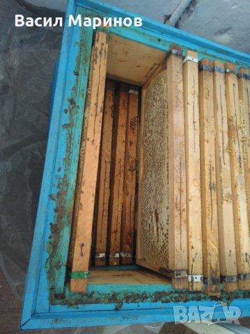 Продавам 100 % натурален полифлорен пчелен мед от Сакар планина, снимка 5 - Пчелни продукти - 25878382