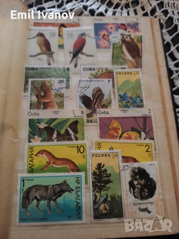 Продавам два класира с пощенски марки, снимка 12 - Колекции - 53254776