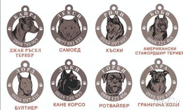 21лв,Лазерно гравиране и рязане на медальони за кучета с име и телефон , снимка 4 - За кучета - 27408755