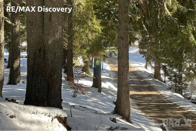 Урегулиран поземлен имот - За продажба - к.к. Пампорово, Област Смолян, снимка 5 - Парцели - 52278178