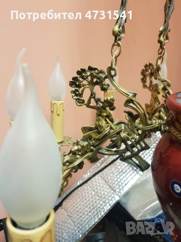 Полилей, снимка 3 - Полилеи - 53398820