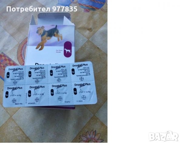 Bayer Drontal Plus Dog -ОБЕЗПАРАЗИТЯВАЩИ ТАБЛЕТКИ ЗА КУЧЕТА 1бр. , снимка 1 - Ветеринари и услуги - 32244158