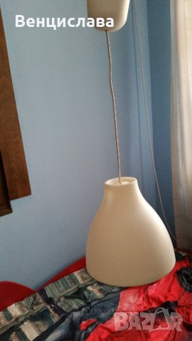 Полилей с едно гнездо, снимка 2 - Полилеи - 32602980