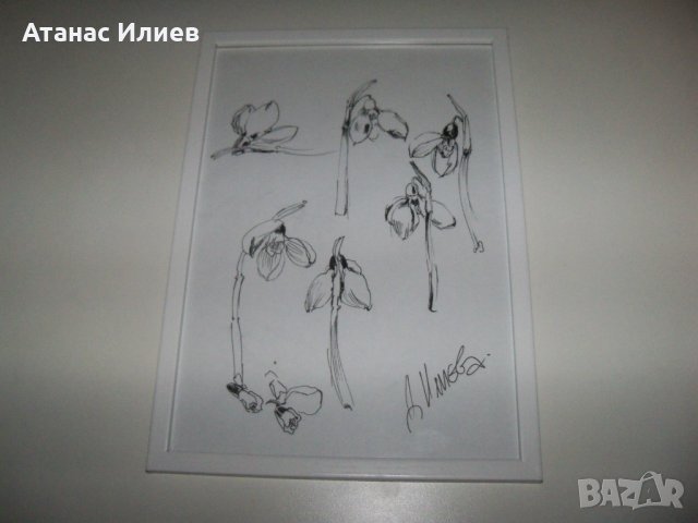 Кокичета графика на художничката Десислава Илиева, снимка 1 - Картини - 38428289
