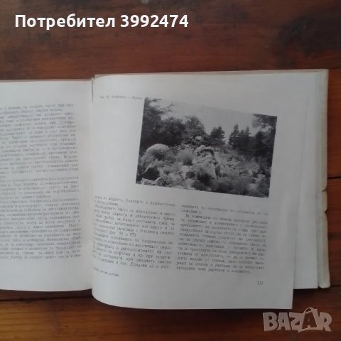 Скални цветни кътове и алпинеуми,1969, снимка 6 - Антикварни и старинни предмети - 49138765