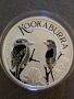 1 oz. Австралийска кукабура , снимка 5