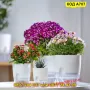 Саксия за цветя с резервоар за вода, снимка 6