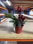 Изкуствена коледна декорация в саксия, 1 бр Classic Flora, снимка 1