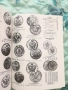 голям каталог на световните монети , снимка 2