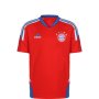 Детска тениска Adidas Fc Bayern HU1275