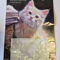 Стенен календар 2006 IFAW Animal Sanctuary Fund, снимка 12 - Други - 38776709