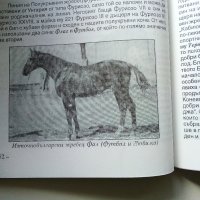 История на коневъдството в България - Д.Добрев,И.Събева, снимка 4 - Специализирана литература - 32657110