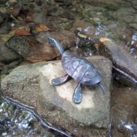 Метална костенурка - ръчно кована , снимка 4 - Статуетки - 43682767