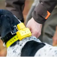 Електронен нашийник за куче , бийпър , ловна камера , Gps проследяване кучета и котки, снимка 2 - За кучета - 33529671