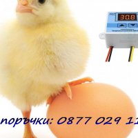 Терморегулатор за инкубатор , Температурен регулатор , Термостат 220V, снимка 1 - За птици - 29046234