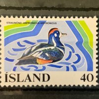 1555. Исландия 1977 = “ Фауна. Птици. Защита на природата ”, **, MNH, снимка 1 - Филателия - 40669704