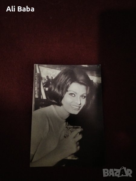 Картичка/снимка италианската актриса София Лорен, снимка 1