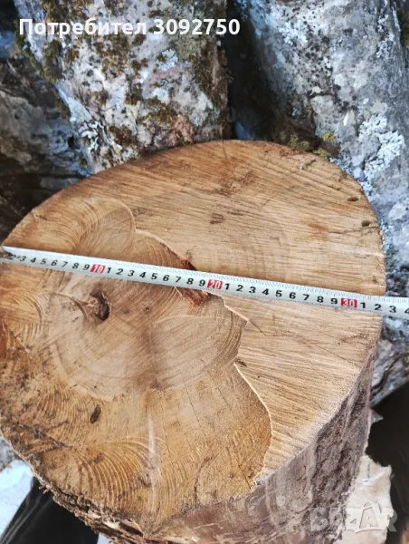 Орехови трупчета , снимка 1