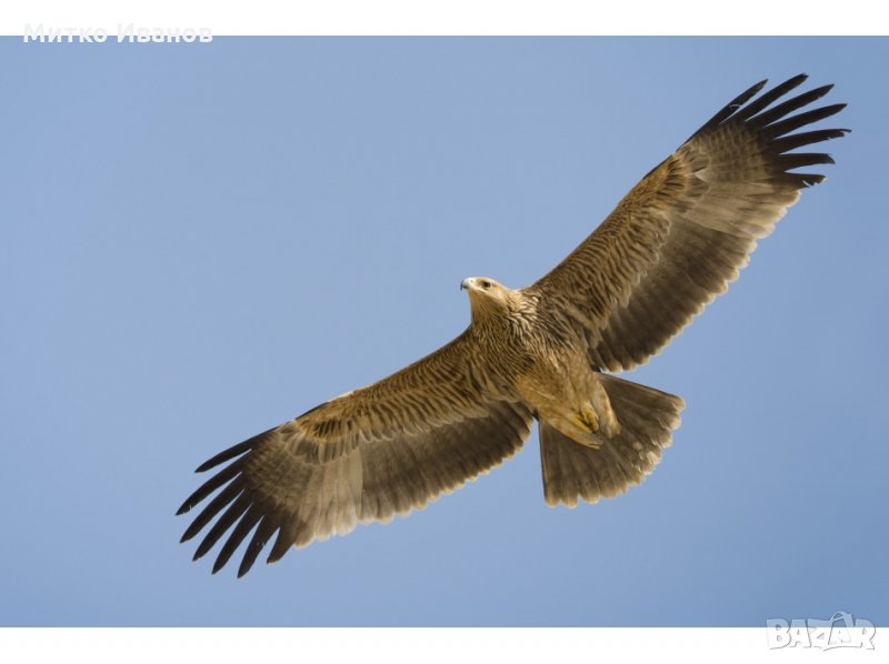 Детективски услуги и обезпечаване от проследяване , снимка 1