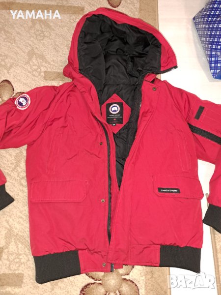 Canada goose  Мъжко  Яке. М, снимка 1
