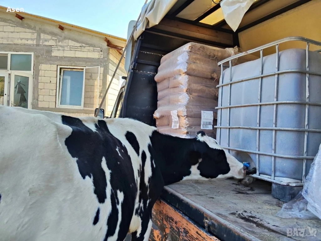 Бидони от 1000литра 1 тон цистерни за вода съдове за меласа ibc , снимка 1