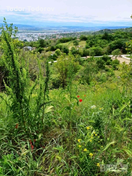 Собственик продава парцел местност "Сълзица" , снимка 1