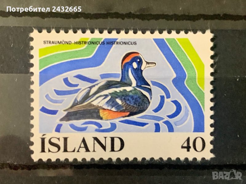 1555. Исландия 1977 = “ Фауна. Птици. Защита на природата ”, **, MNH, снимка 1