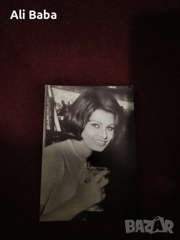 Картичка/снимка италианската актриса София Лорен