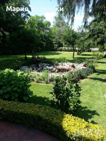 Озеленяване и поддръжка на градини , снимка 11 - Други - 53493481