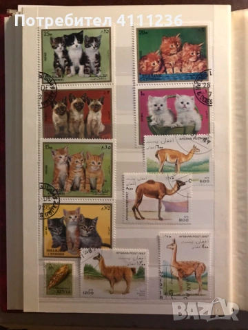 Класьор с марки предимно Фауна , снимка 9 - Филателия - 53513901