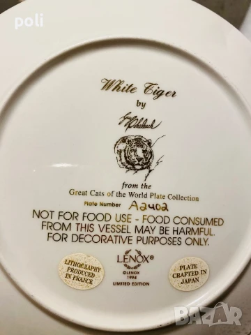 порцеланова чиния за стена , снимка 4 - Декорация за дома - 51183933