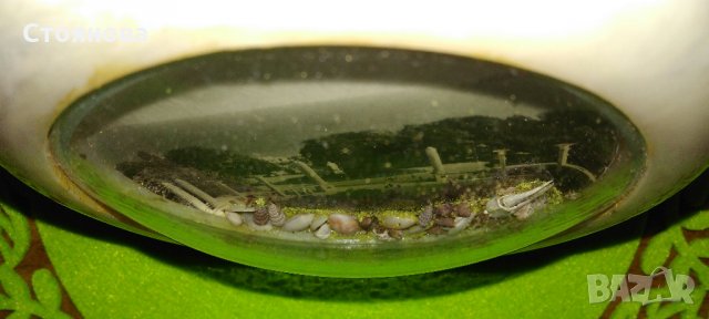 Сувенир-ретро с изглед от град Варна - Морската градина , снимка 5 - Антикварни и старинни предмети - 27982071