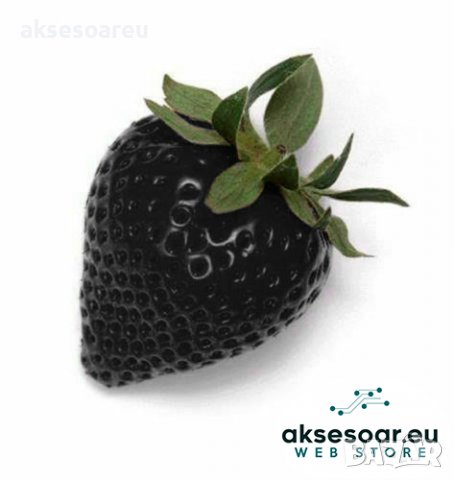 200 семена от плод черна ягода черни ягоди органични плодови ягодови семена от вкусни ягоди отлични , снимка 8 - Сортови семена и луковици - 37706890